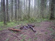 5.7.06 Wauna Point 009 